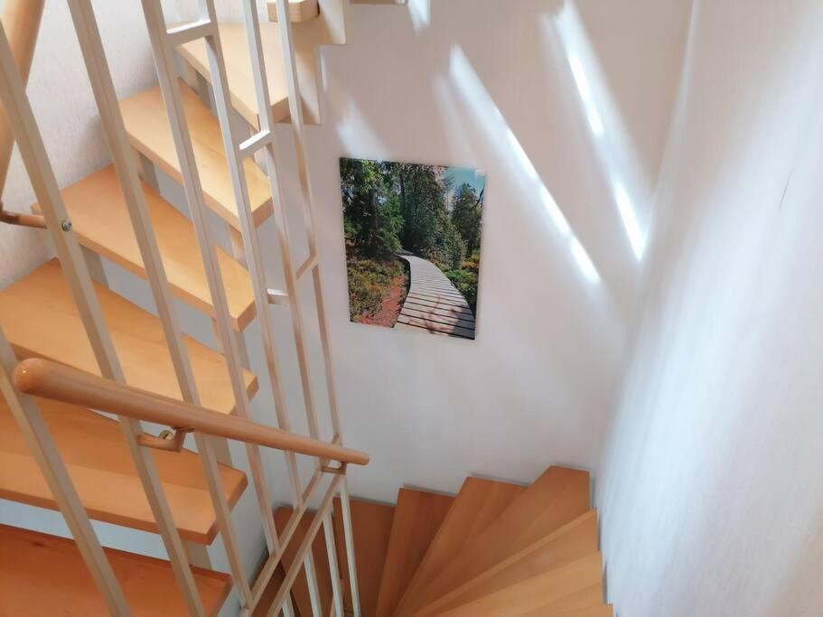 Ferienhaus Hoher Weg - Urlaub, Wandern, Downhill Und Workation Am Nationalpark Harz Sankt Andreasberg Eksteriør bilde