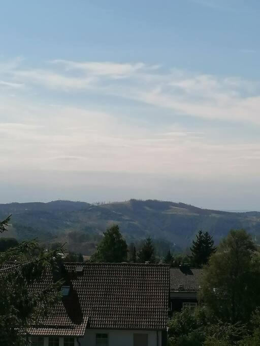 Ferienhaus Hoher Weg - Urlaub, Wandern, Downhill Und Workation Am Nationalpark Harz Sankt Andreasberg Eksteriør bilde