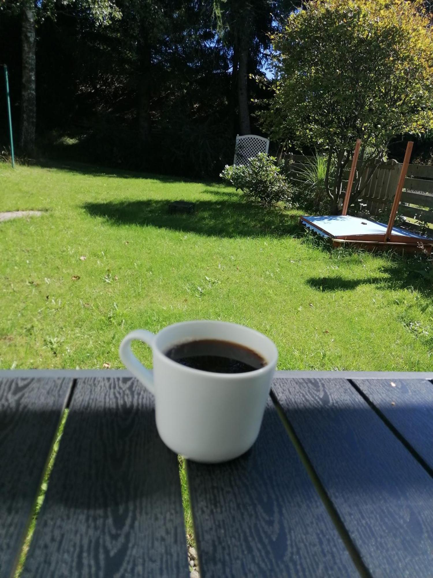 Ferienhaus Hoher Weg - Urlaub, Wandern, Downhill Und Workation Am Nationalpark Harz Sankt Andreasberg Eksteriør bilde